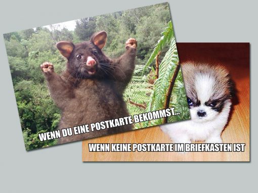 Tiere und weitere Meme Postkarten