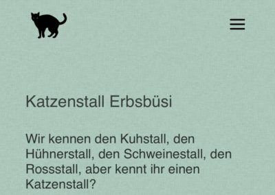 Webdesign Verein Katzenstall Erbsbüsi