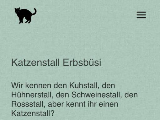 Webdesign Verein Katzenstall Erbsbüsi