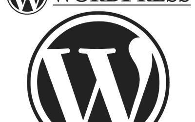 WordPress mit Theme personalisieren